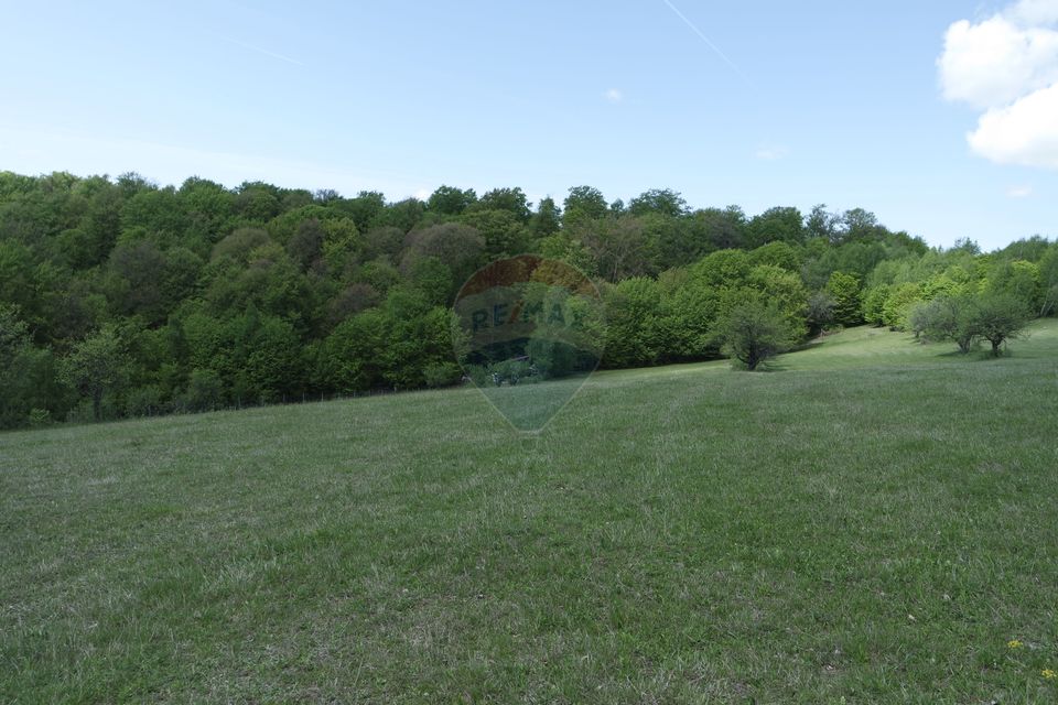 TEREN DE VÂNZARE ÎN PRELUCA NOUA