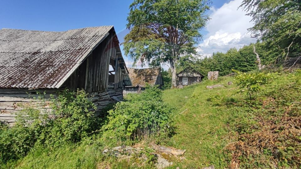 Teren 130000 mp extravilan Munteni - Bulz, Negreni