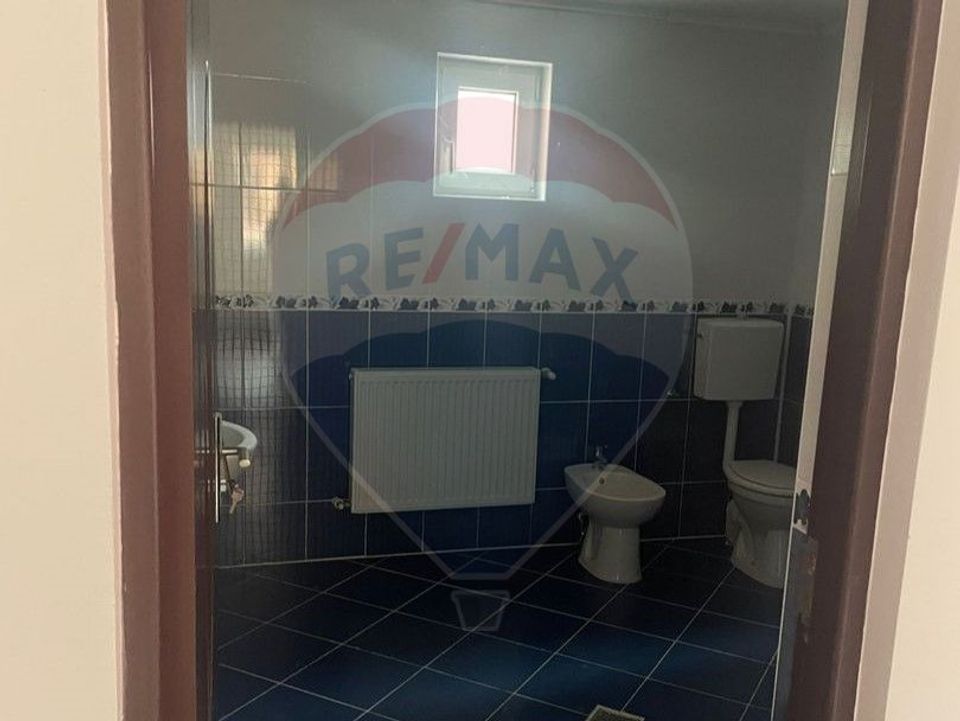 Casă / Vilă cu 6 camere de vânzare Leontinesti - Bacau