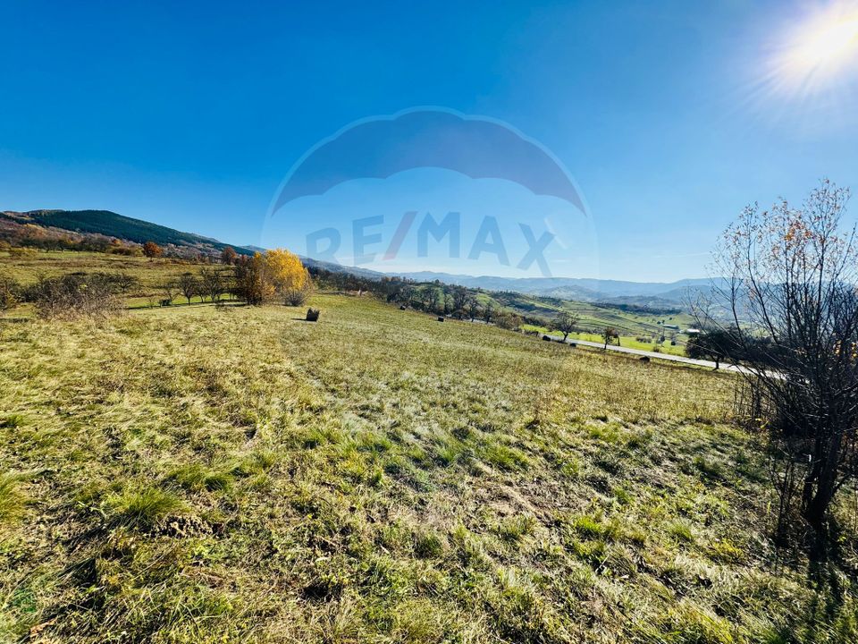 Teren 5,325mp Rona de Jos / Soseaua Prinncipala