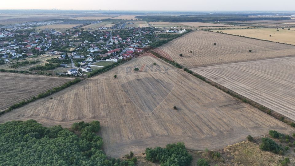 Ocazie investitie, teren intravilan Tamasi / Buftea