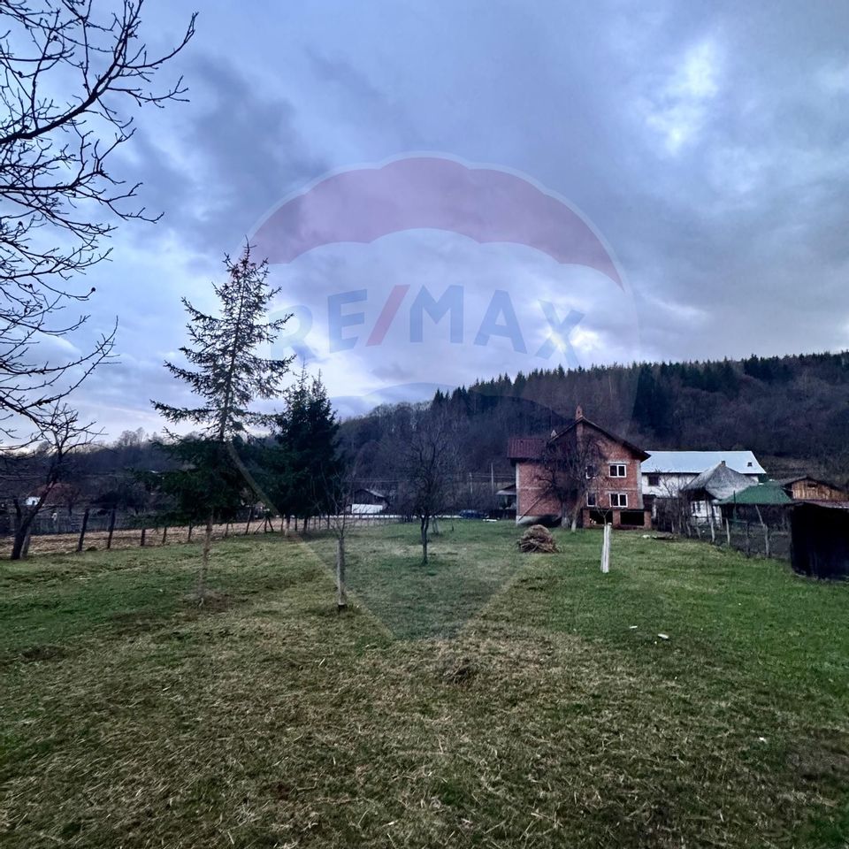 Casa de vis Valea Siliștii - spațiu generos, natura si liniște deplina