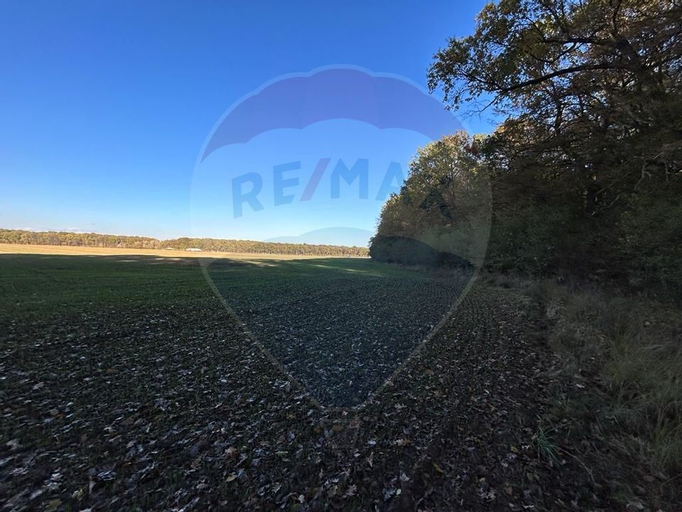 Land 10,000sqm Ciolpani / Strada Plopului