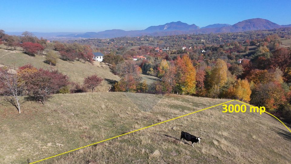 Teren valoros 3,000mp BRAN/Utilitati/Pensiune/Priveliste panoramica