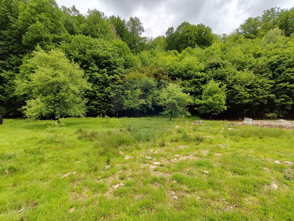 Land 1,674sqm Baita / Strada Principala