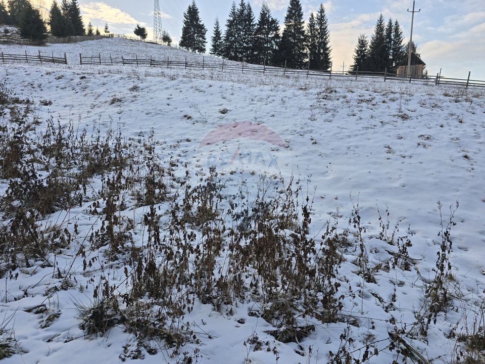 Teren 2,833mp Vatra Dornei / None