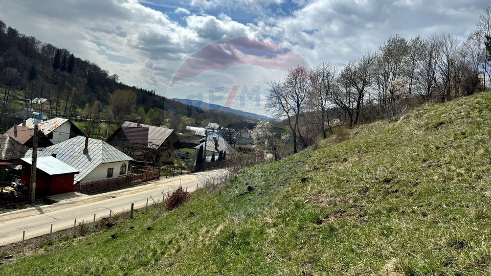 Teren generos, dar ieftin, in Nămăești - Argeș