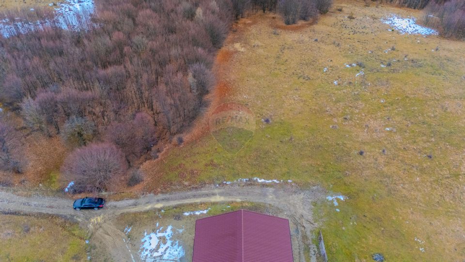 Teren 1,185 mp Teliu / Extravilan