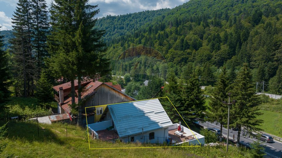 3 room House / Villa for sale, Malul Ursului area