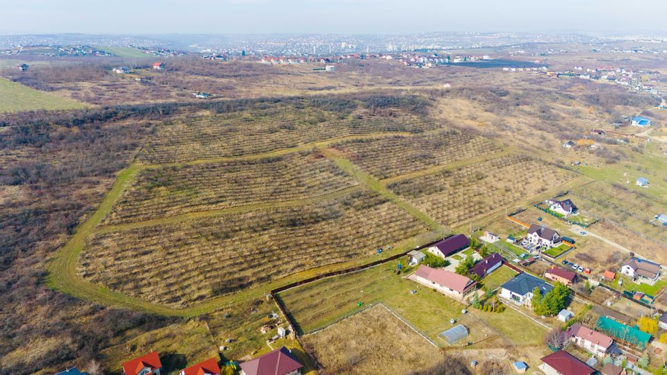 Comision 0 % De vânzare parcele de teren în Vișan