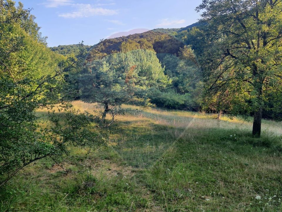 Poiană pentru cabana de vanzare intravilan Coas