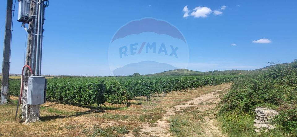 Land 50,500sqm Siria / DJ 709