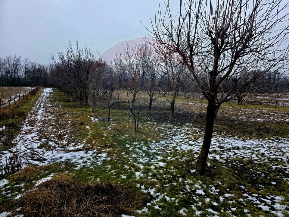Land 4,516sqm Doina / Strada PRINCIPALA