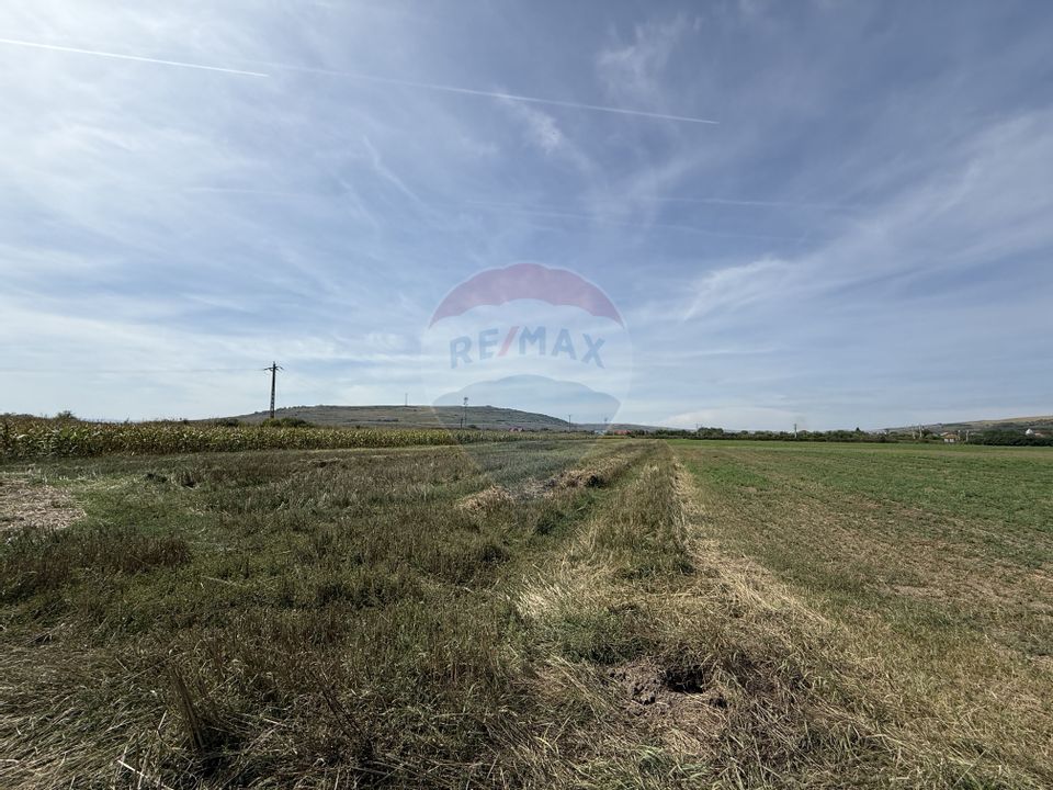 Teren Investitii 8600 mp | Zona Tetarom III Rascruci