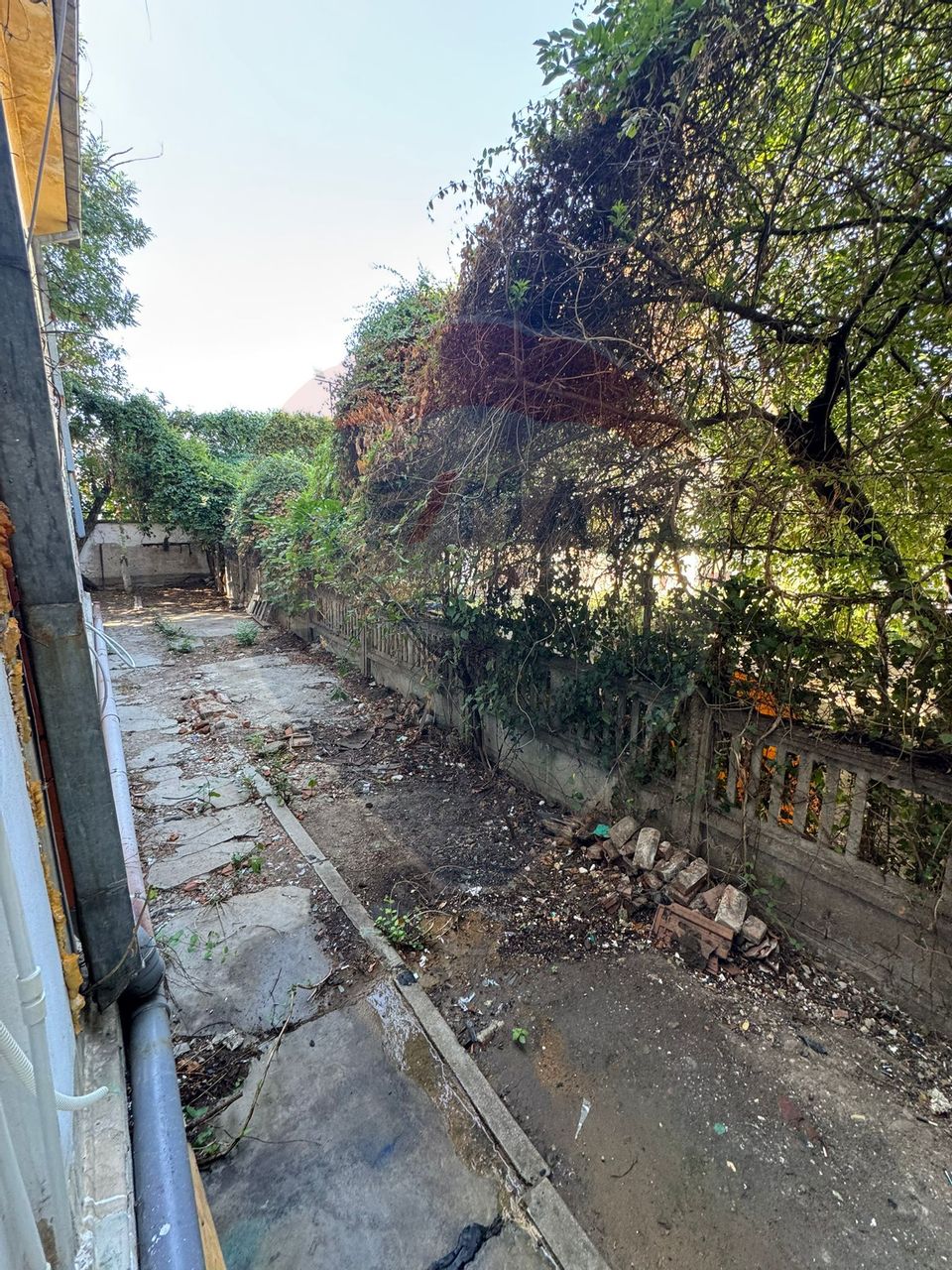 Camera camin în zona Centrală 0% comision