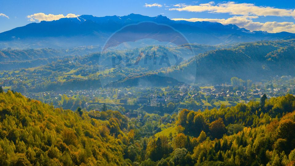 COMISION 0% Teren 11,381 mp Moieciu de Jos / Oportunitate unică