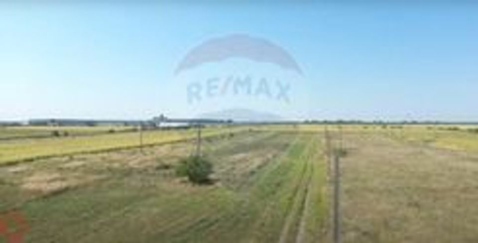 Land 53,295sqm Ciocanesti / Strada str. TUDOR DUMITRU