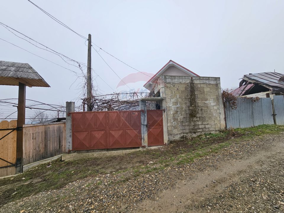 2 Case de vânzare în Luizi Călugăra (Osebiti)
