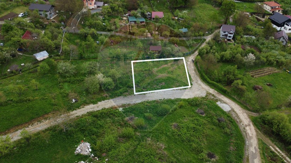 Land 956sqm Baia Mare / Strada Grigore Ureche