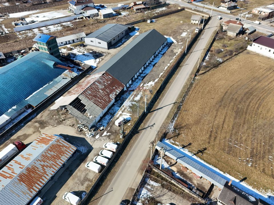 Hale industriale de închiriat în Tg Neamț