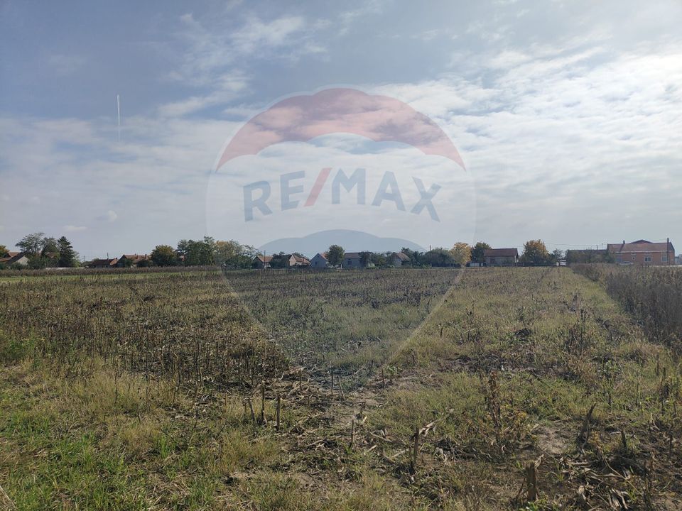 Land 2,217sqm Ohaba-Forgaci / Soseaua principala