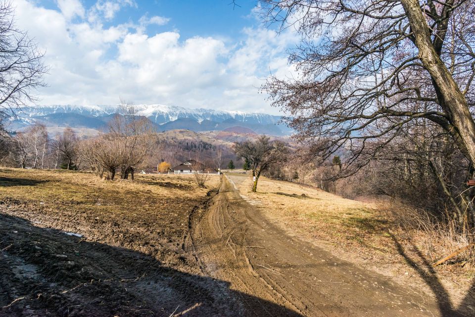 Comision 0%! Teren Moieciu de Jos 1500 mp