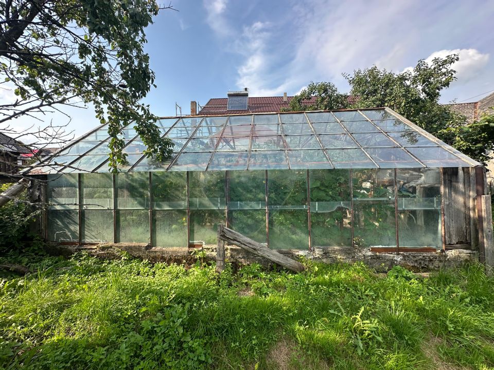 De vanzare GOSPODARIE in BUDESTI/ Maramures