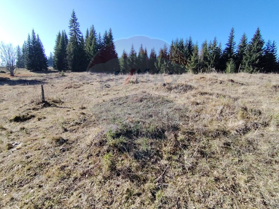 Teren 16,289mp Coverca / Drumul Bucinis