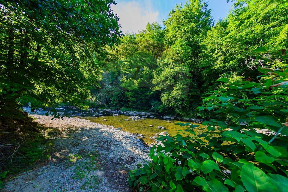 CASA DEOSEBITA DE VANZARE INTRERAURI, COAS