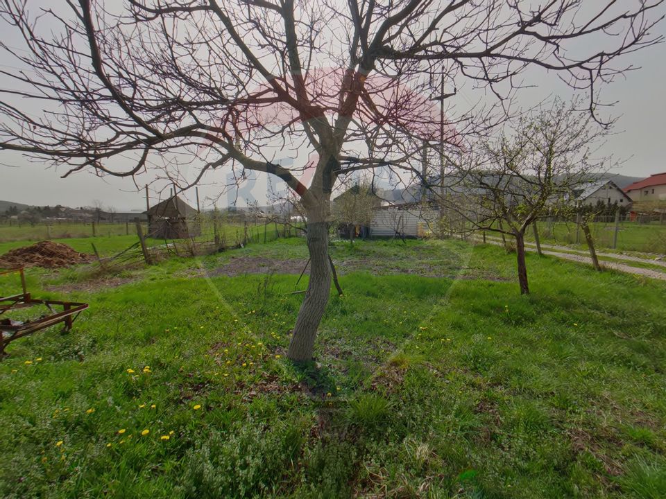 Casă / Vilă cu 5 camere de vânzare în zona Sud