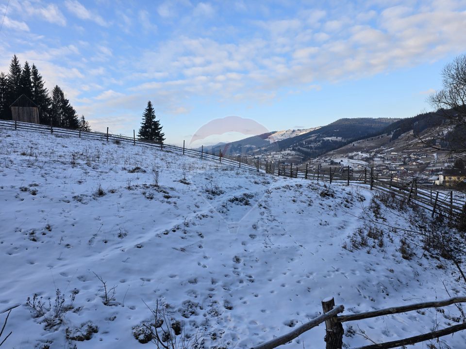 Teren 2,833mp Vatra Dornei / None