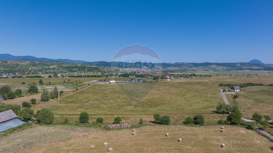 Teren Bran -Sohodol, Strada La mesteceni, 6900mp