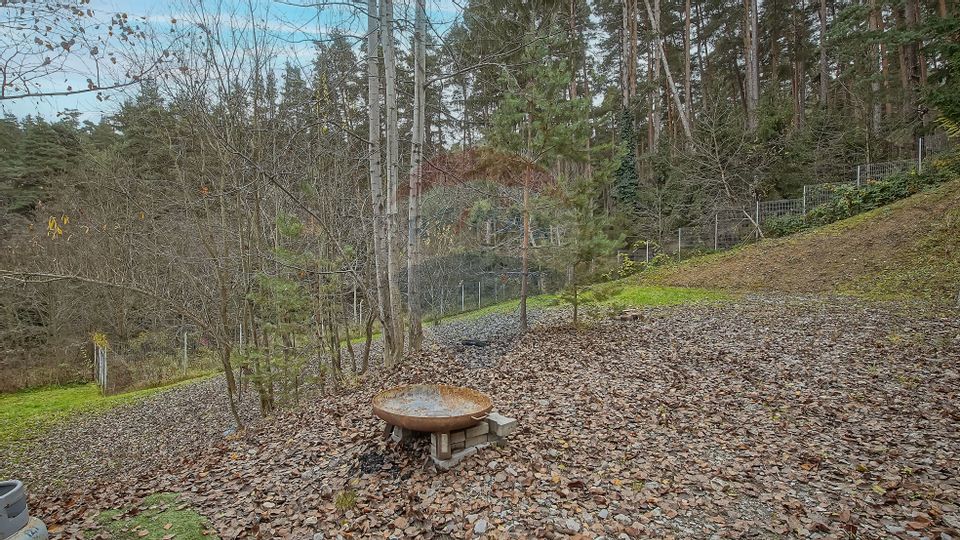 Vila moderna cu vedere spre padure Poiana Angelescu