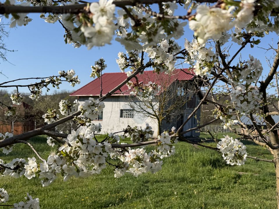 3 room House / Villa for sale