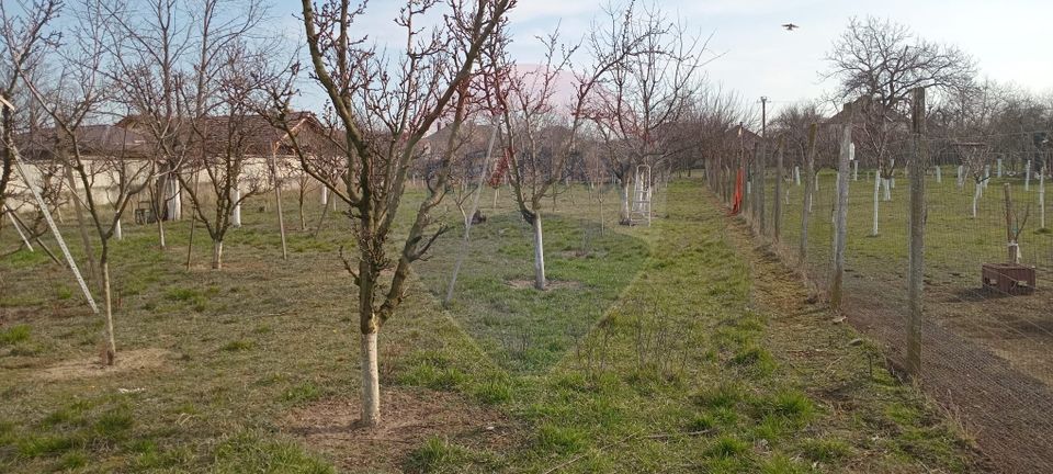 Land 2,954sqm Vladimirescu / Strada Stefan cel Mare