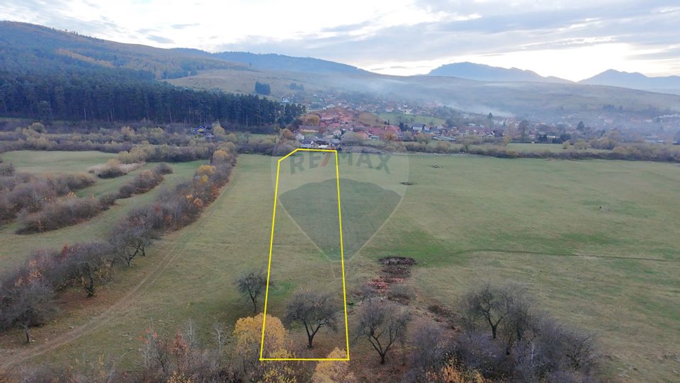 Teren 5.800 mp Purcareni curent, gaz, apă / Strada 30 decembrie