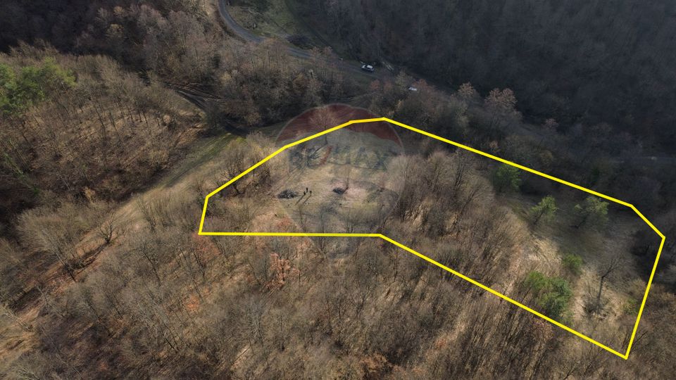 Poiană pentru cabana de vanzare intravilan Coas