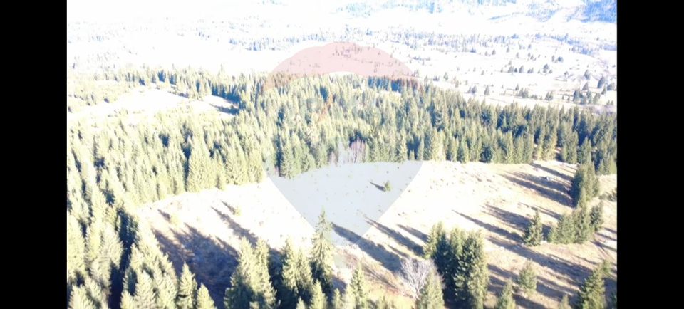 Teren 16,289mp Coverca / Drumul Bucinis