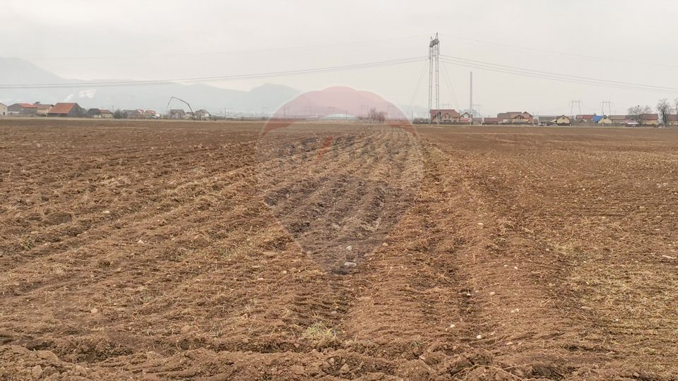 Land 52,410sqm Tarlungeni / Strada Harmanului