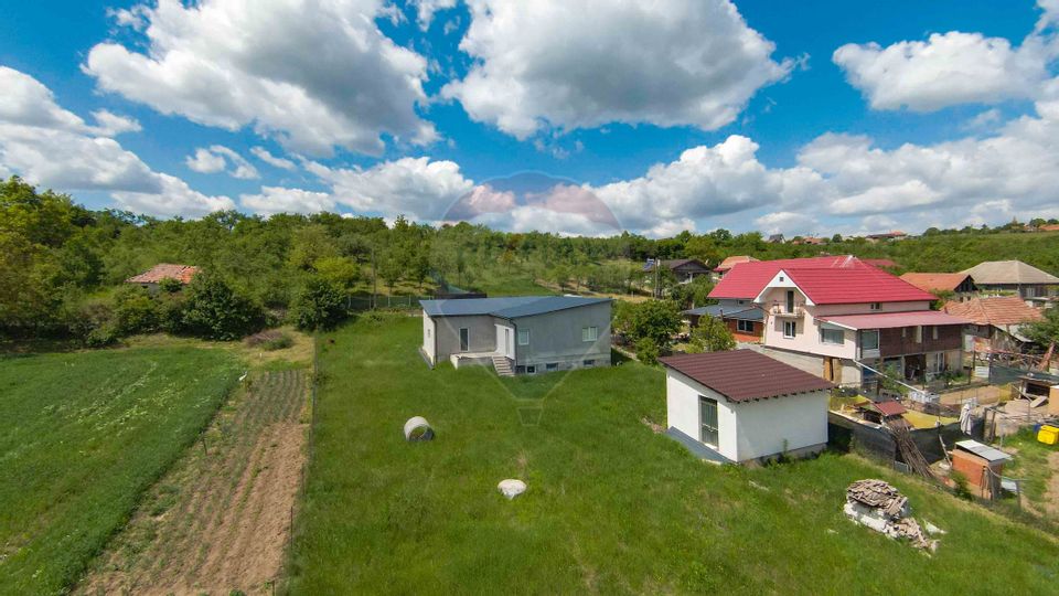 Casă cu 3 camere, anexă și 2042 mp teren de vânzare, în Calea Mare