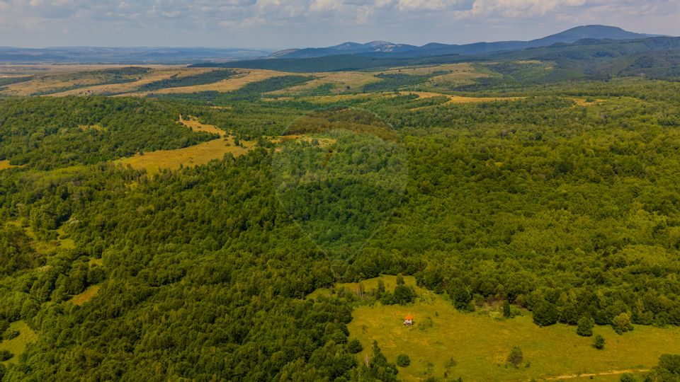 COMISION 0% Teren 1020mp / Intravilan/PUZ/ Grid