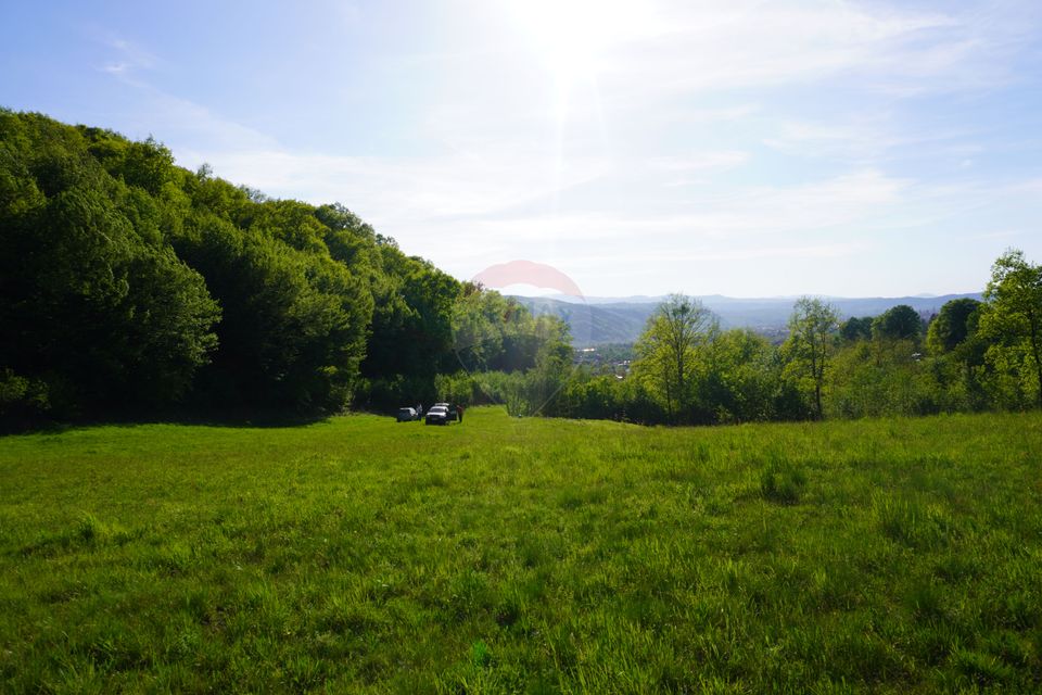 Land 33,137sqm Sighetu Marmatiei / Strada Mocăniței