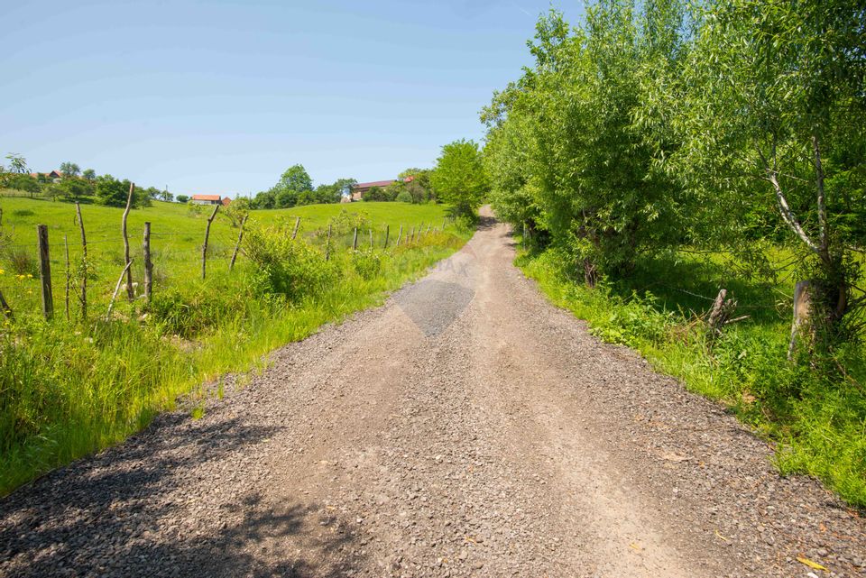 Land for sale 10990sqm Bran Sohodol, great view, utilities