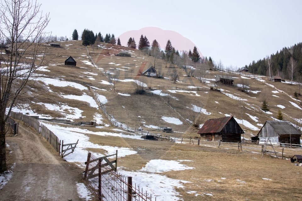 Land 1,091sqm Moieciu de Sus / Strada Valea Bangaleasa