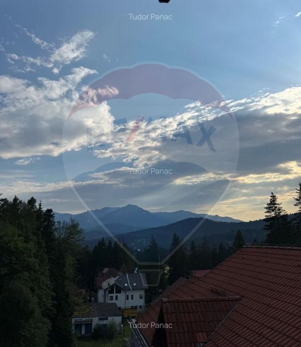 14 room House / Villa for sale, Cioplea area