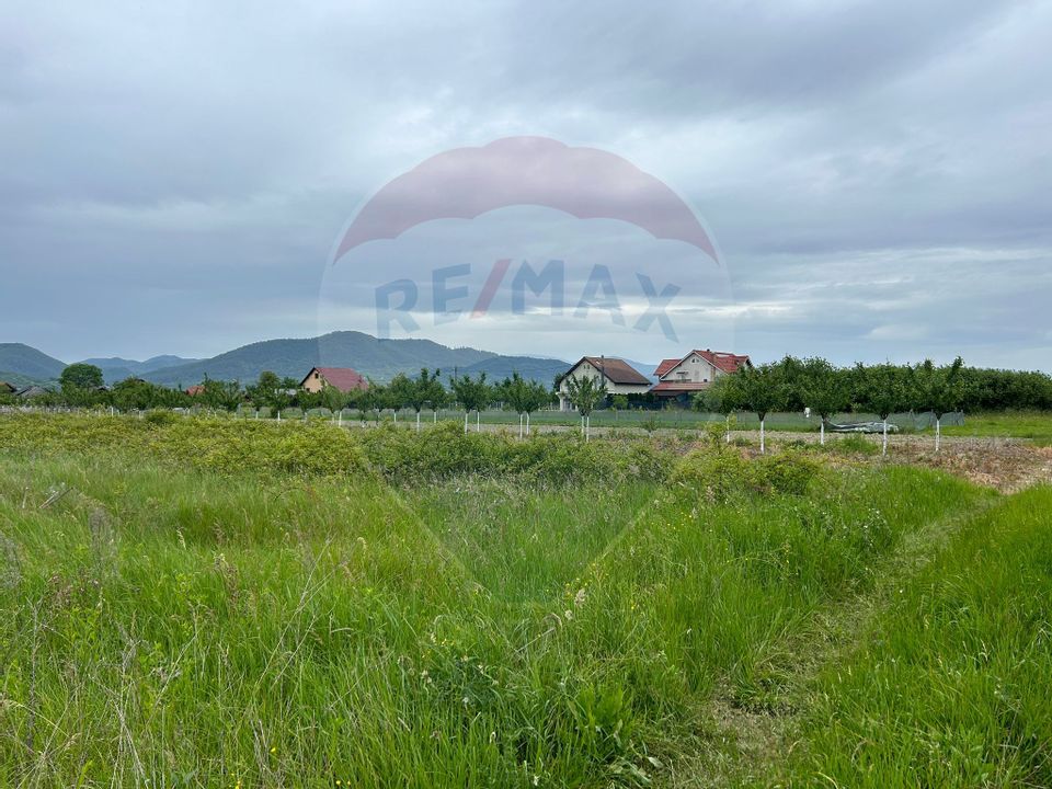 Land 1,435sqm Sasar / Strada FLORIILOR