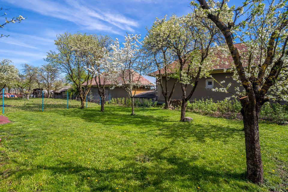 3 room House / Villa for sale