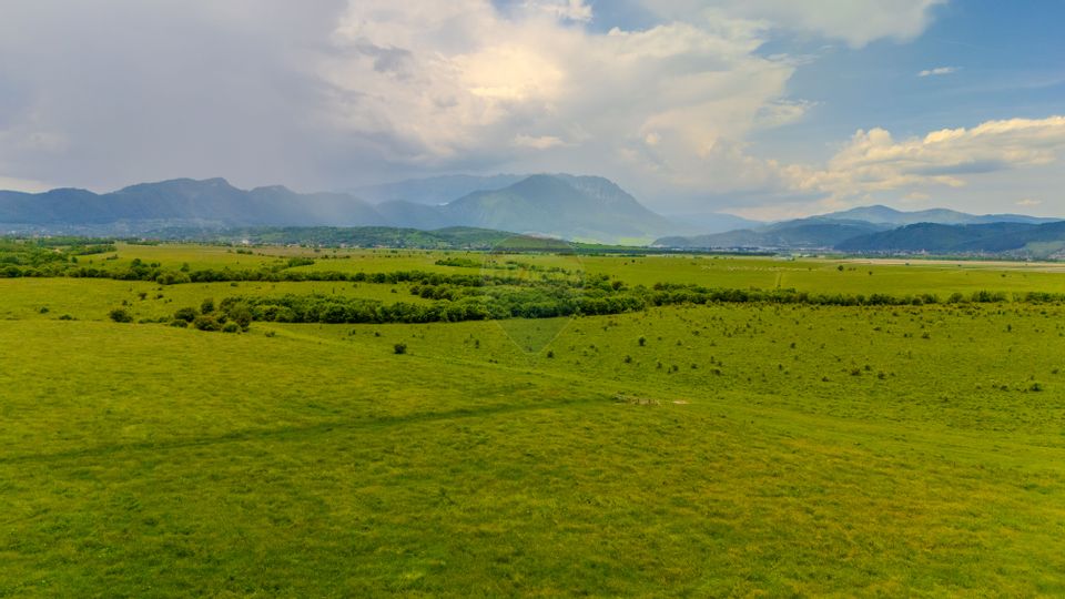 Land 10,800sqm Rasnov / Drumul DN73