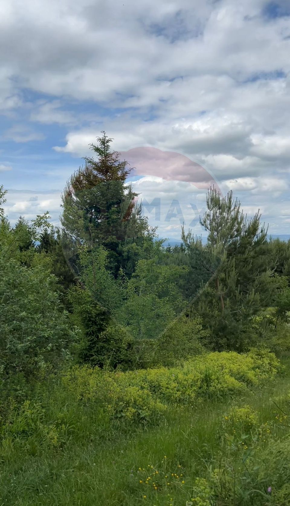 Teren Sacele / Strada Valea Larga 2000 mp