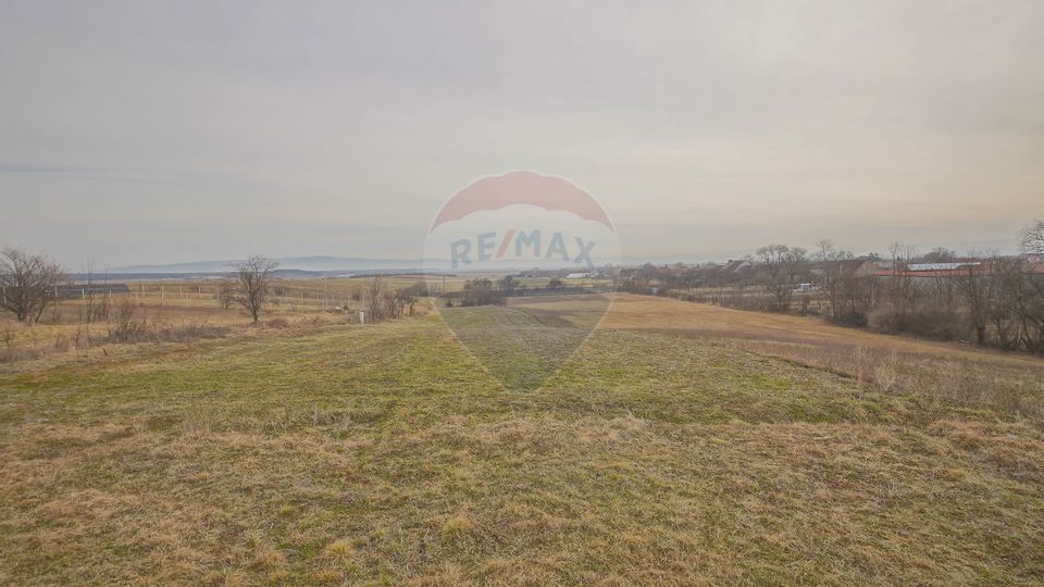 Teren Intravilan De Vanzare, Crizbav, Brasov, Suprafata 2250 Mp